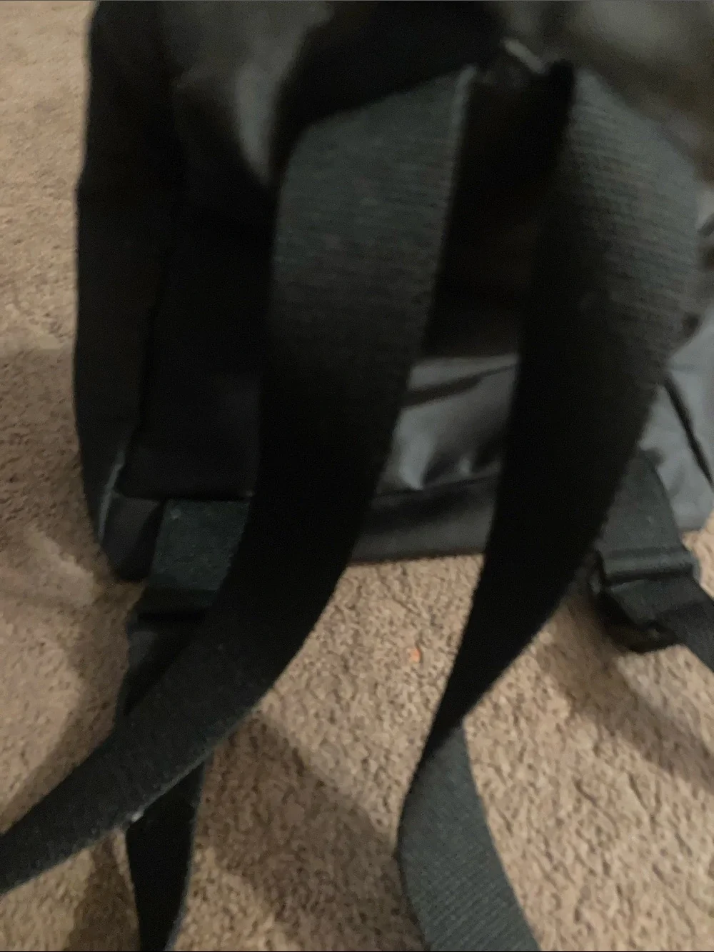 kate spade compact backpack